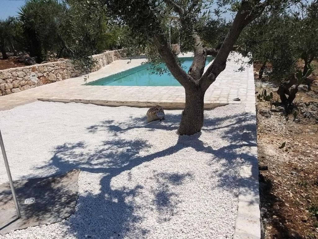 Casa Giuliveto - Charmantes Ferienhaus Mit Privatpool In Olivenhain Остуни Экстерьер фото