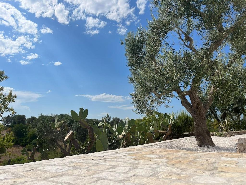 Casa Giuliveto - Charmantes Ferienhaus Mit Privatpool In Olivenhain Остуни Экстерьер фото
